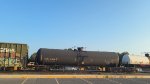 CGTX 31236